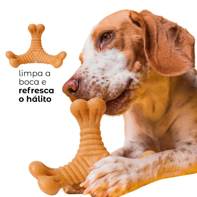 Osso Mordedor p/ Cães®